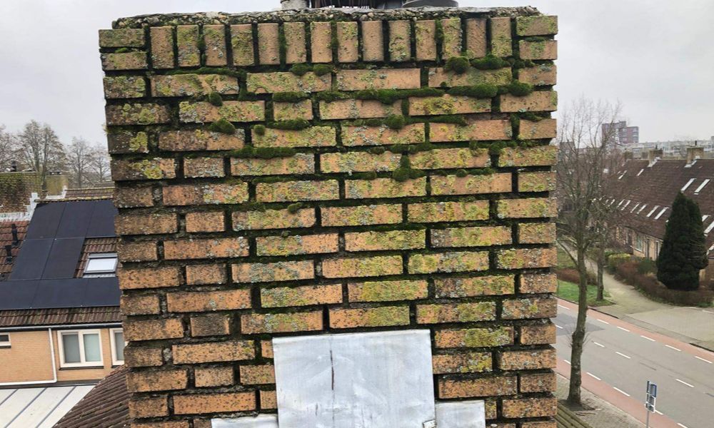 WhatsApp Image 2025-01-06 at 15.34.31 (6)